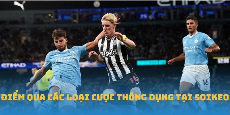 Điểm qua các loại cược thông dụng tại soi kèo