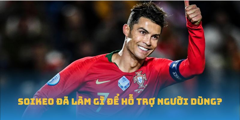 Soi kèo đã làm gì để hỗ trợ người dùng?