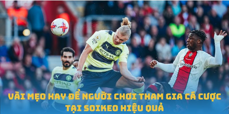 Vài mẹo hay để người chơi tham gia cá cược tại soi kèo hiệu quả